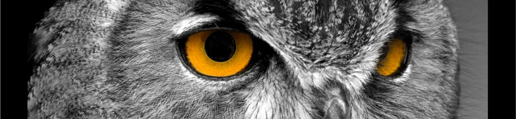 a brand design agency