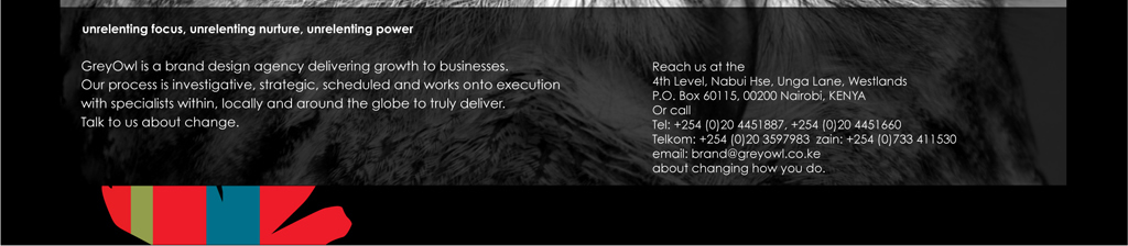 Grey Owl